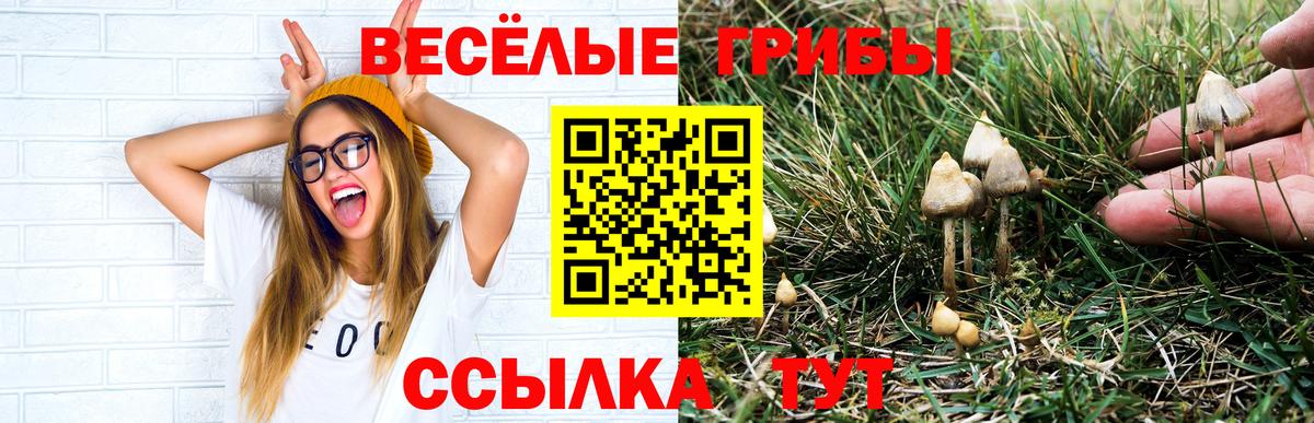 Ноябрьск  Псилоцибиновые грибы мухоморы  Псилоцибиновые грибы мицелий  Вход с VPN 