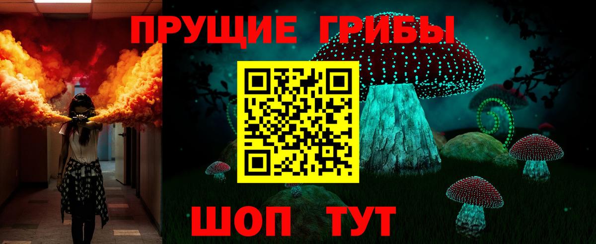 Псилоцибиновые грибы мицелий Ноябрьск