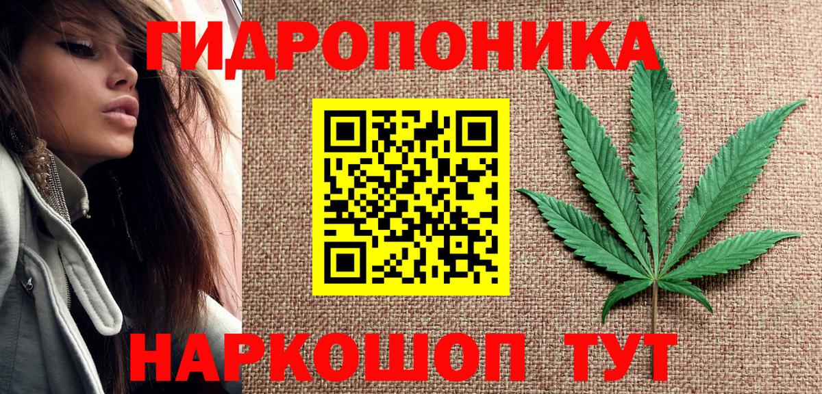 Каннабис White Widow Ноябрьск